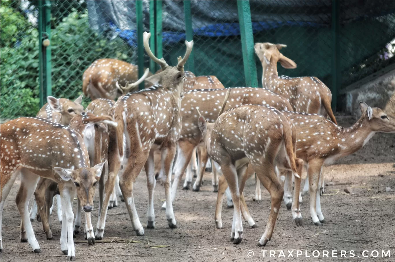 Photo of Ahmedabad By Traxplorers
