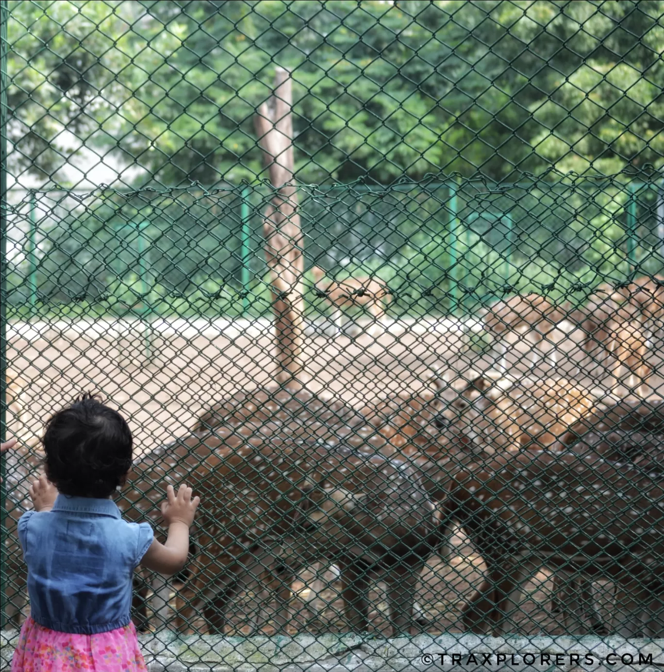 Photo of Ahmedabad By Traxplorers