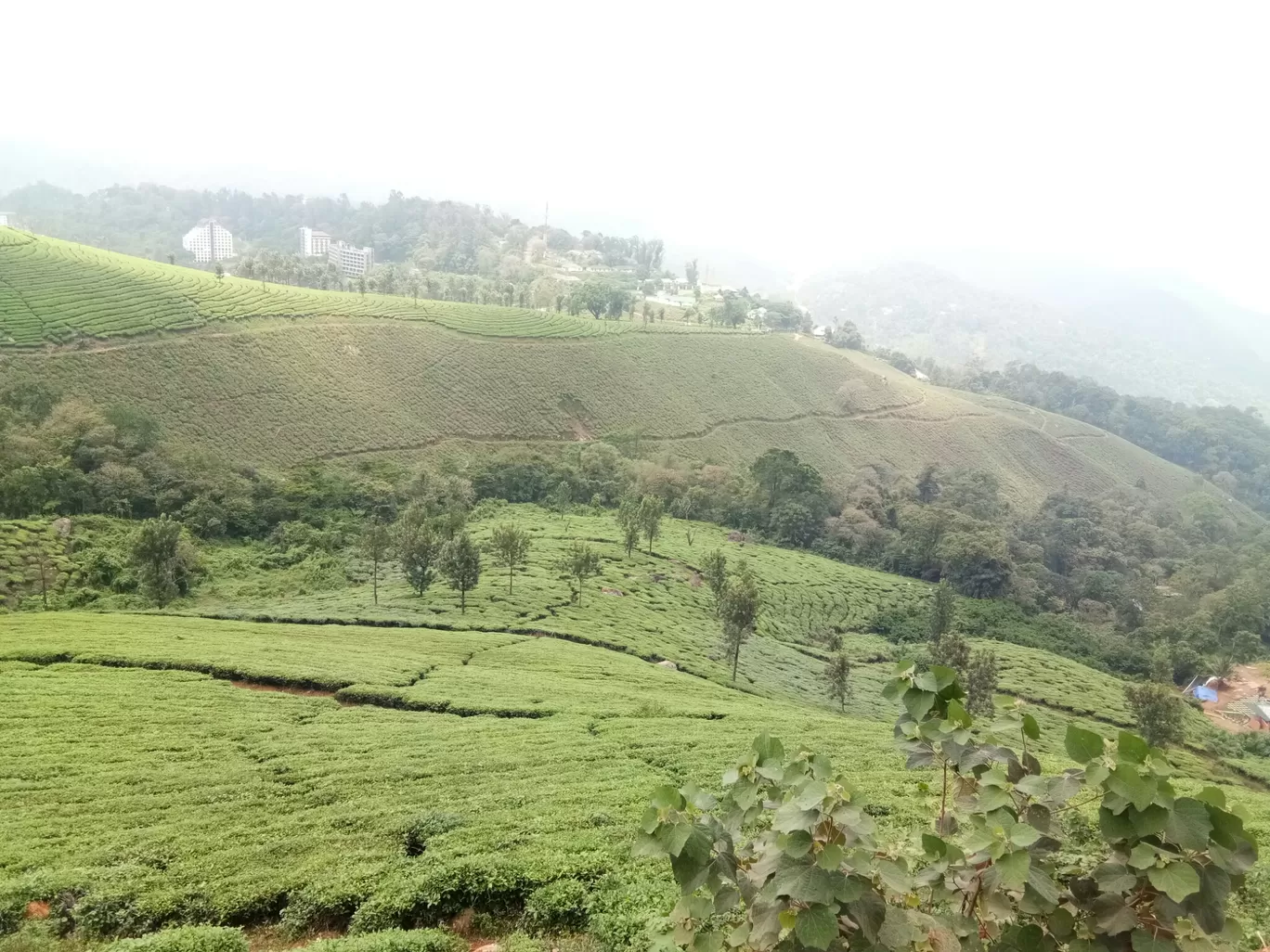 Photo of Munnar-Kumily Highway By Nishta Balaguru