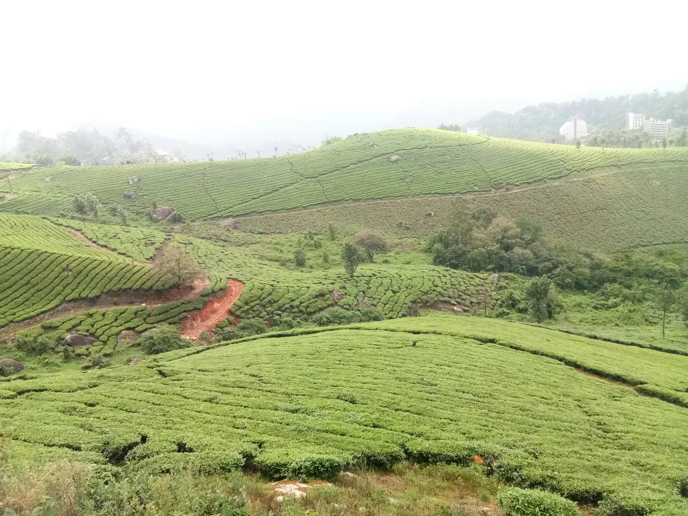 Photo of Munnar-Kumily Highway By Nishta Balaguru