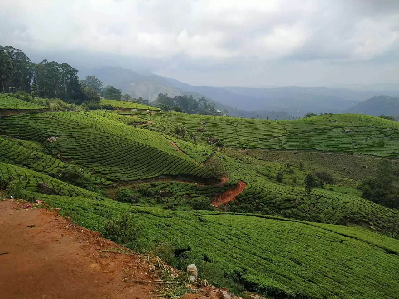 Photo of Munnar-Kumily Highway By Nishta Balaguru