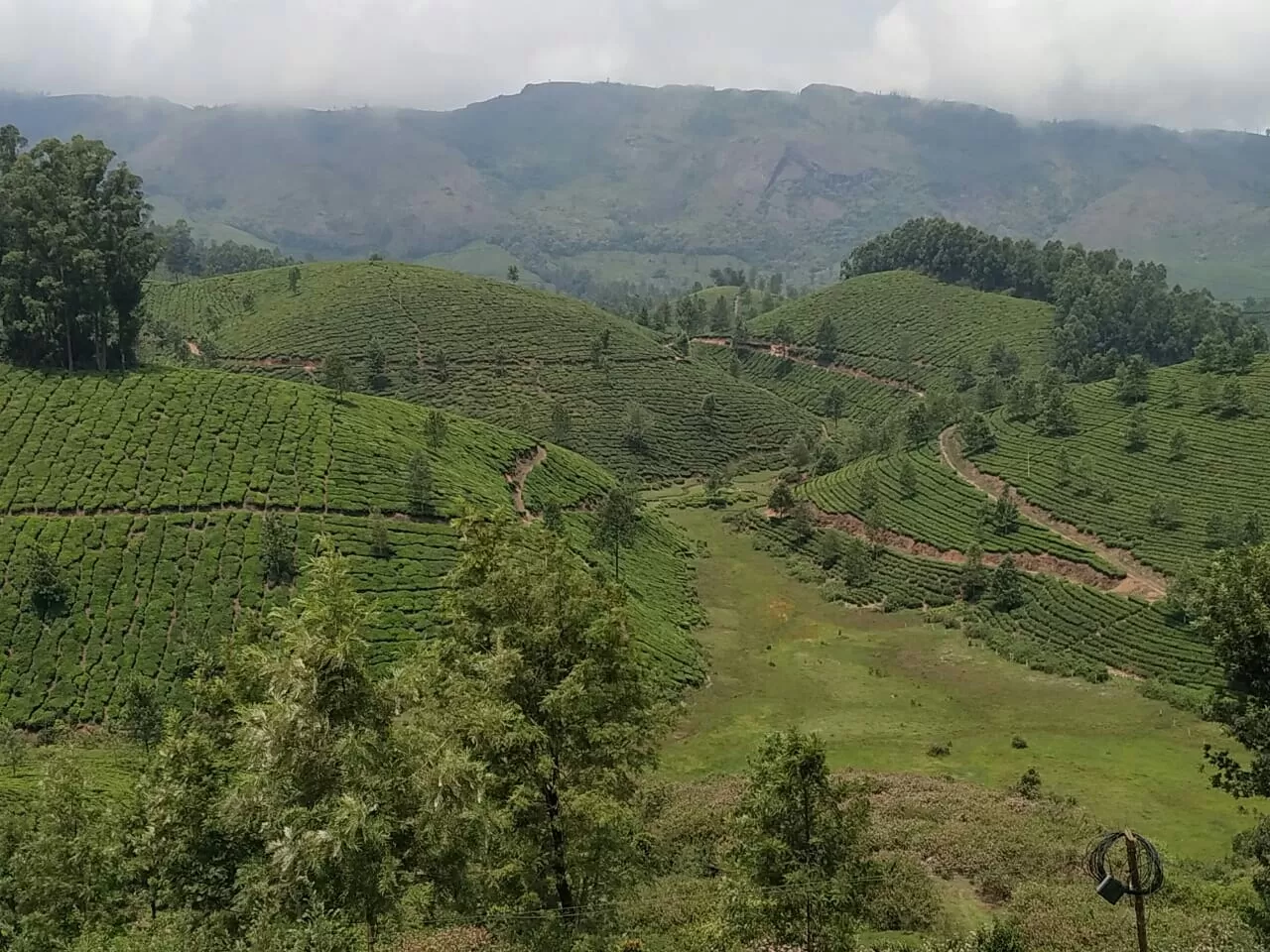 Photo of Munnar-Kumily Highway By Nishta Balaguru