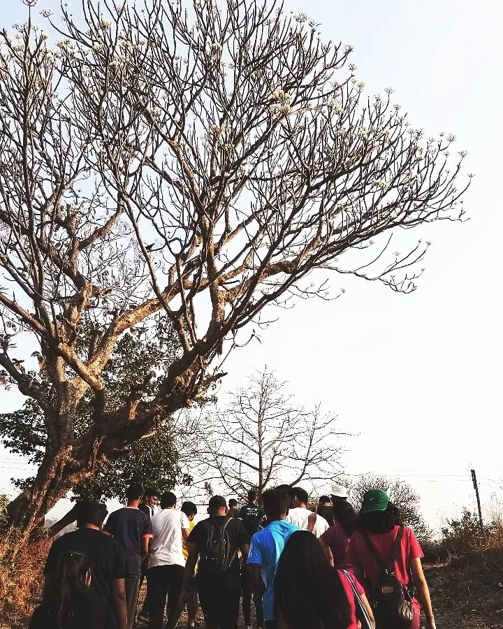 Photo of Durshet Forest Lodge By Kedar Patil