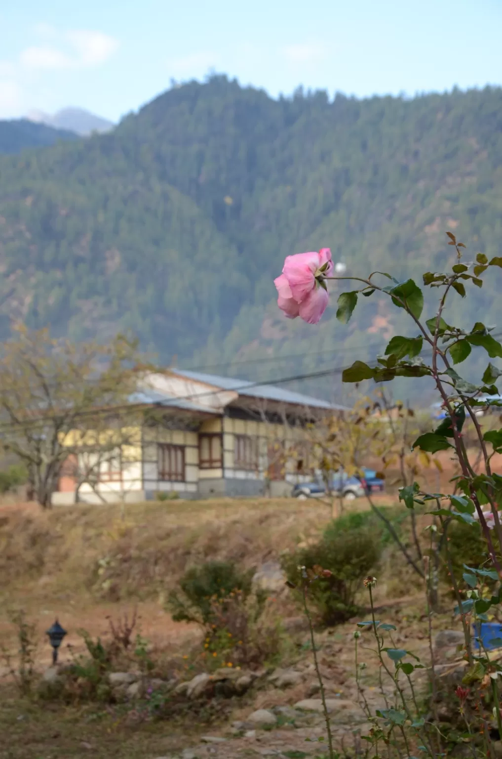 Photo of Paro By Deblina Sarkar