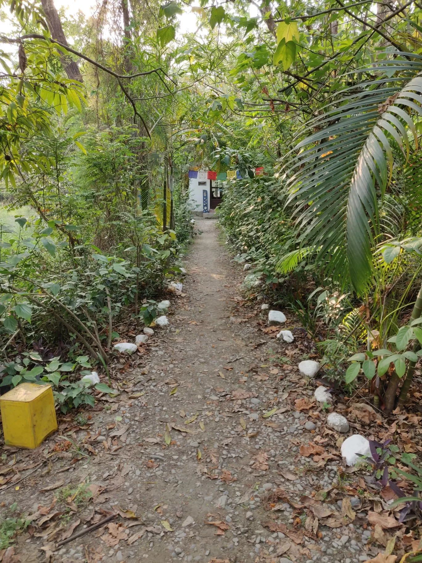 Photo of Jim Corbett National Park By Joseph Varkey
