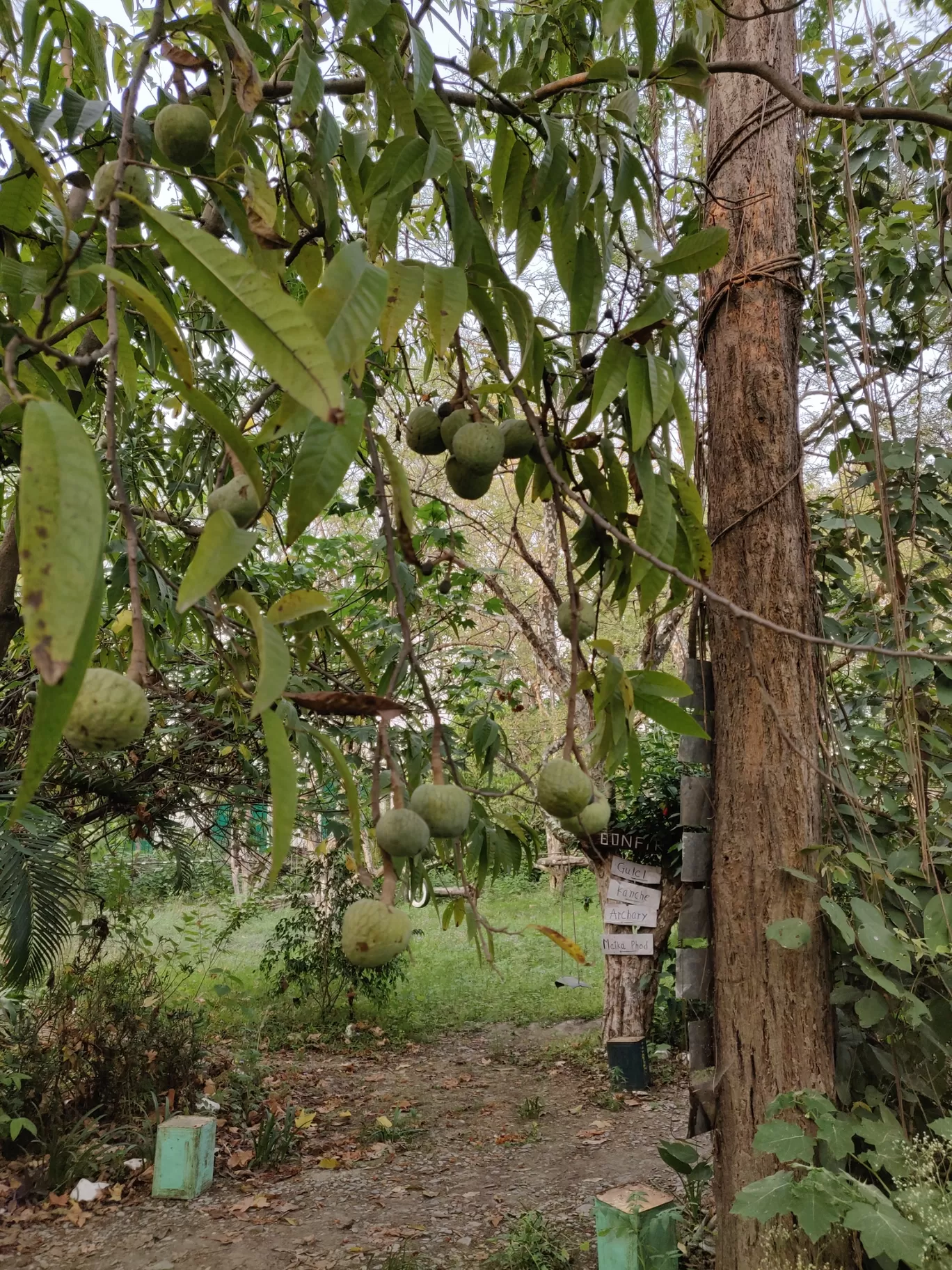 Photo of Jim Corbett National Park By Joseph Varkey