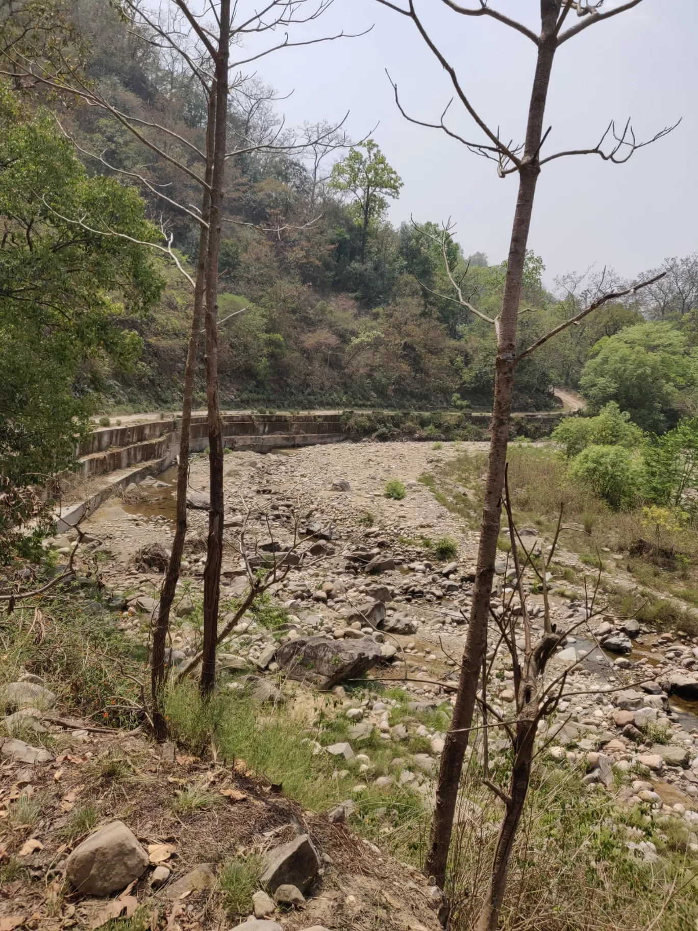 Photo of Jim Corbett National Park By Joseph Varkey