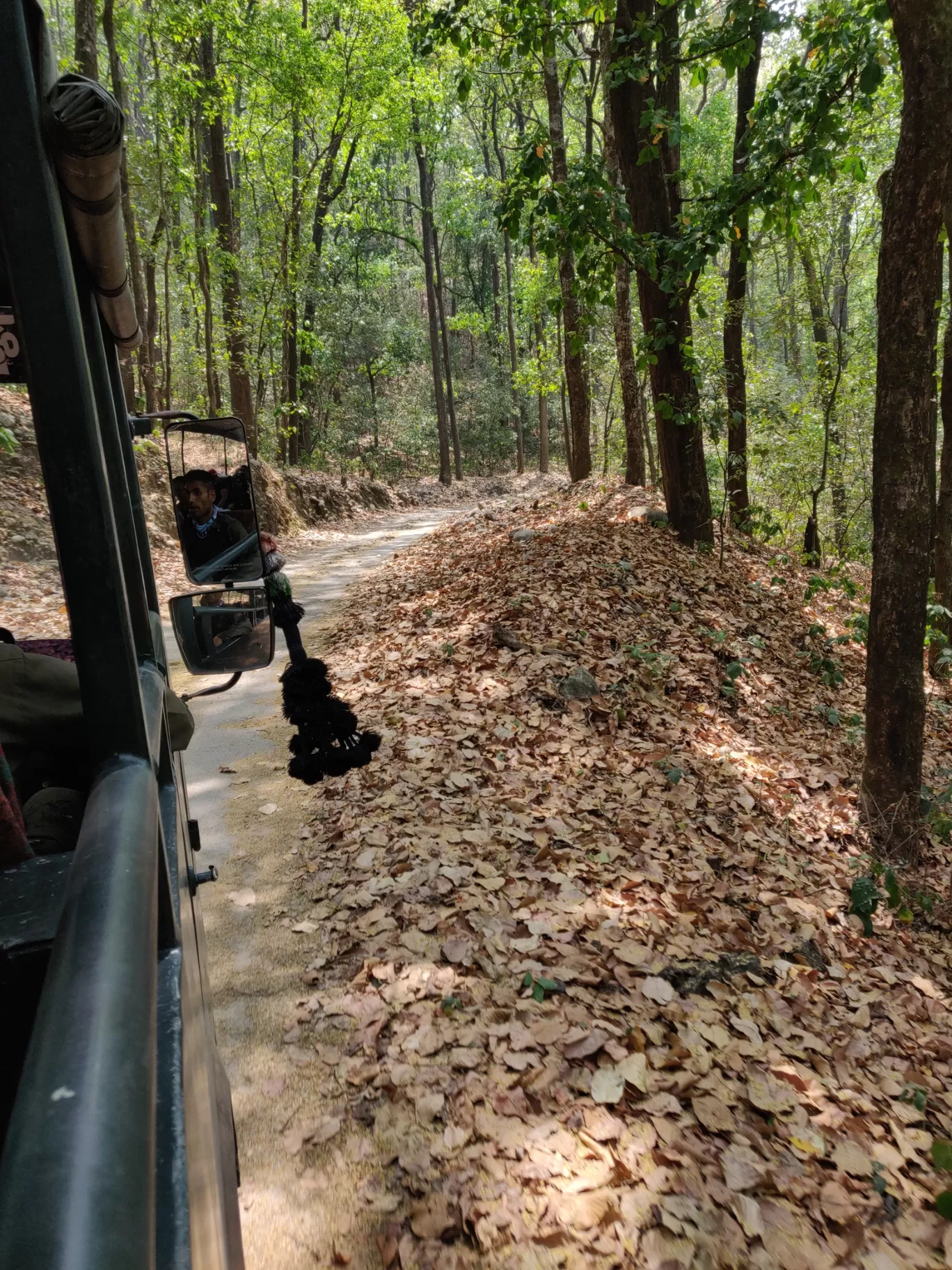 Photo of Jim Corbett National Park By Joseph Varkey