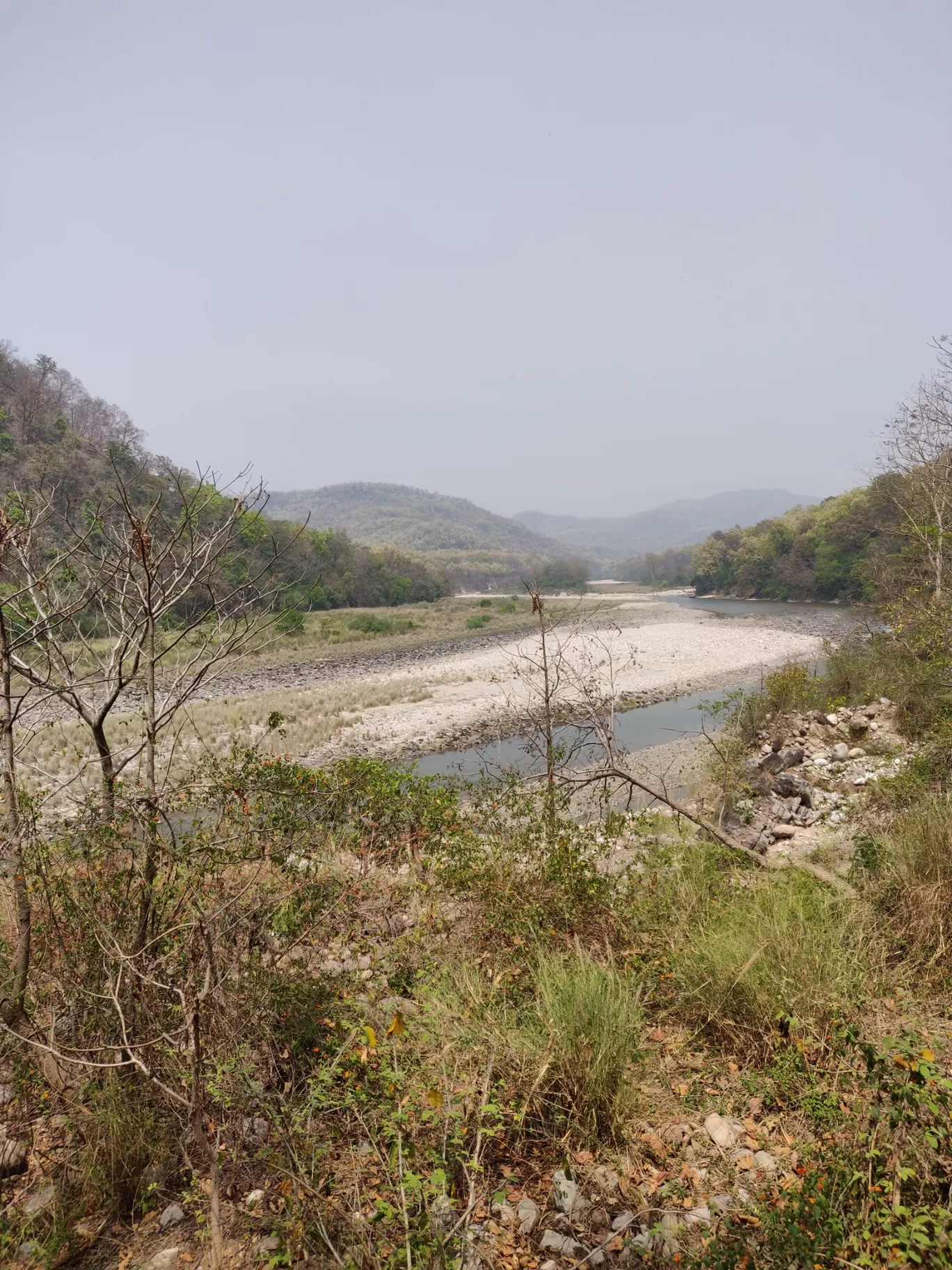 Photo of Jim Corbett National Park By Joseph Varkey