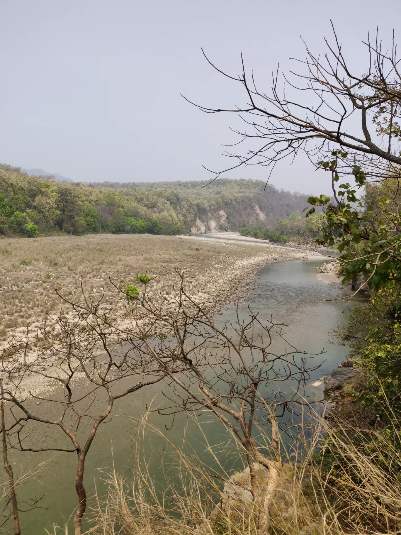 Photo of Jim Corbett National Park By Joseph Varkey