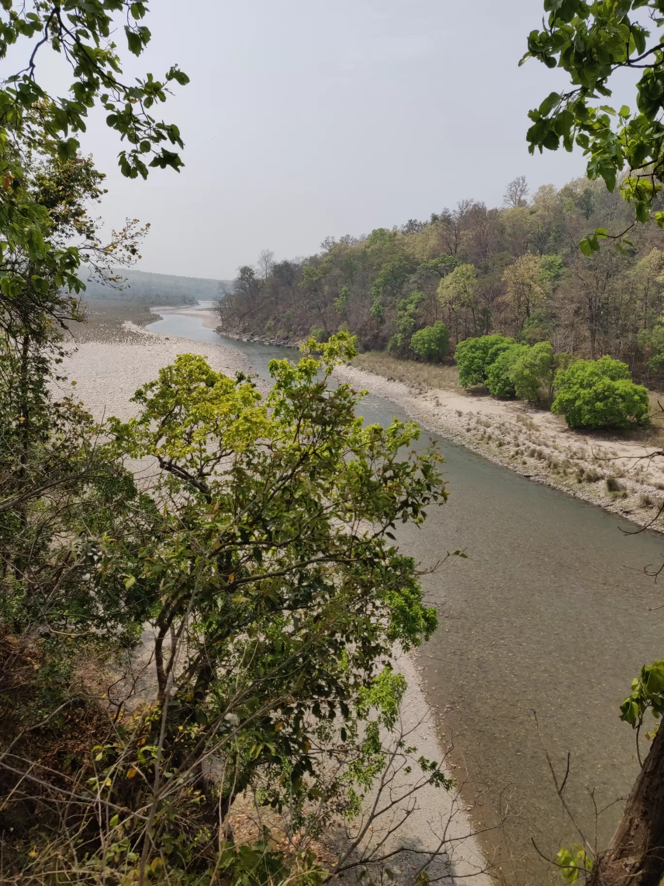 Photo of Jim Corbett National Park By Joseph Varkey