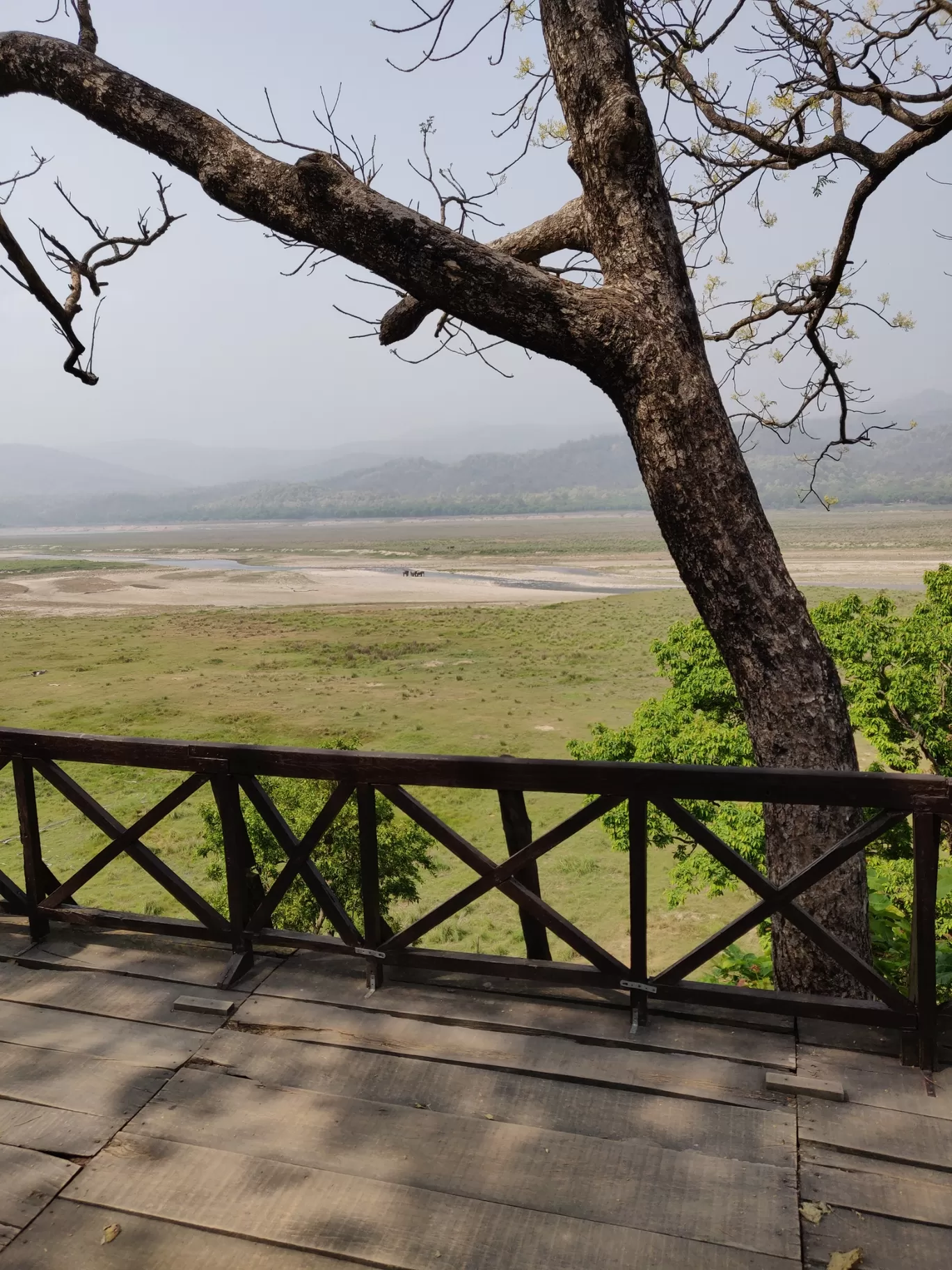 Photo of Jim Corbett National Park By Joseph Varkey