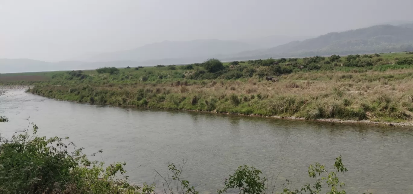 Photo of Jim Corbett National Park By Joseph Varkey