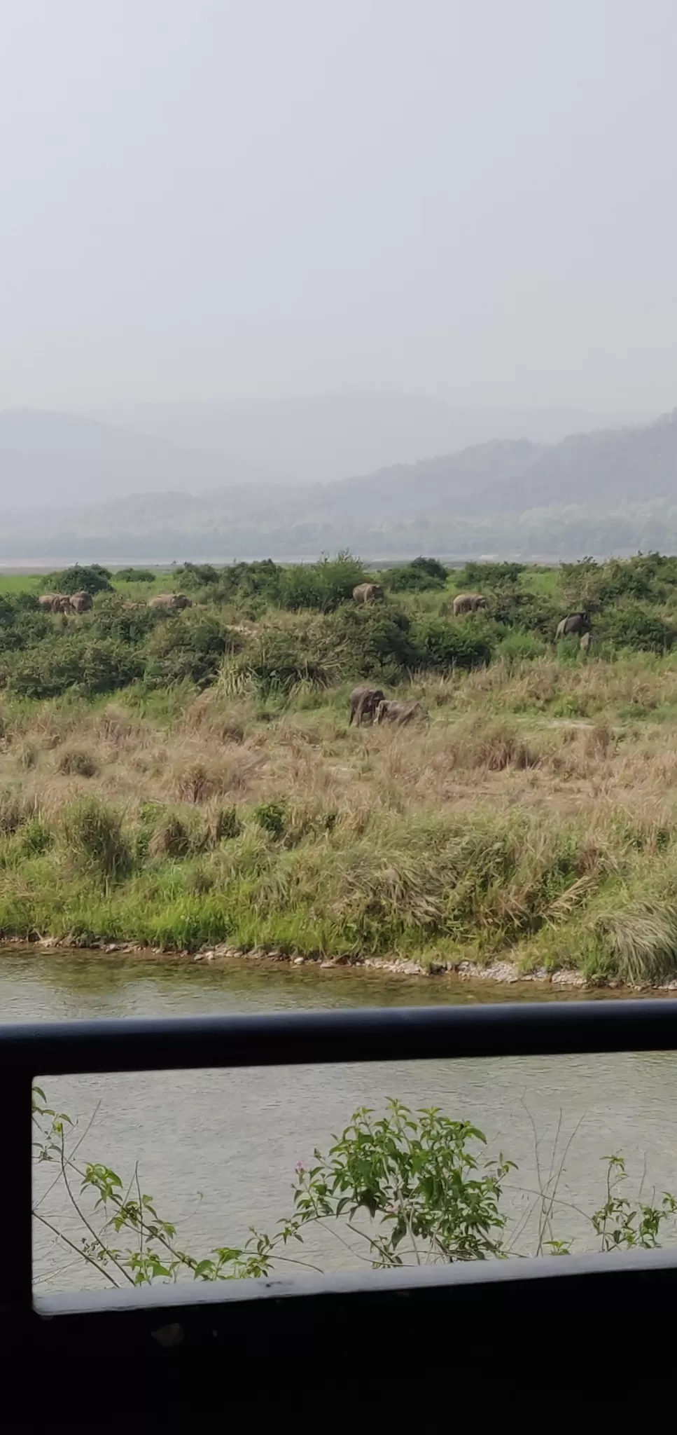 Photo of Jim Corbett National Park By Joseph Varkey