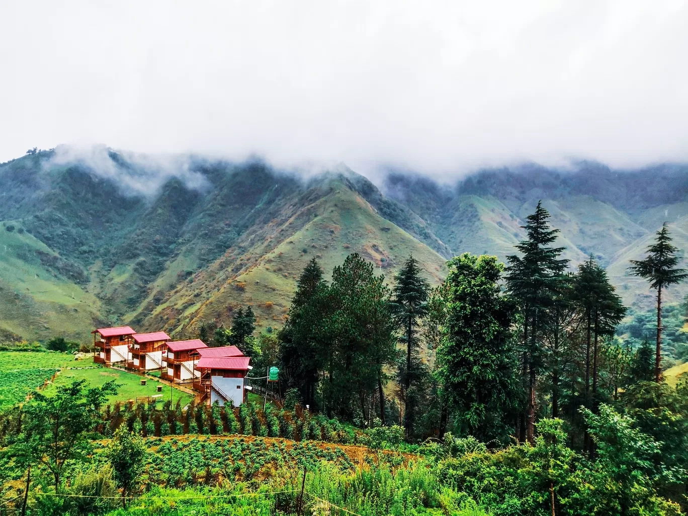 Photo of Chakrata By Nivedita Anand