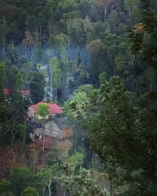 Photo of Coorg By Miss Teetotaller