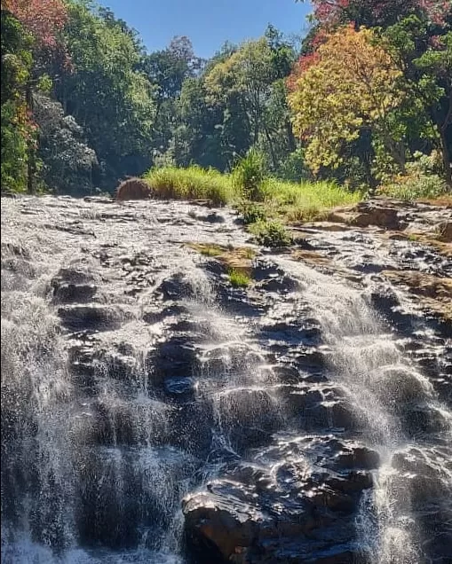 Photo of Coorg By Miss Teetotaller