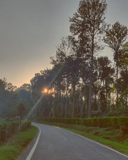 Photo of Coorg By Miss Teetotaller