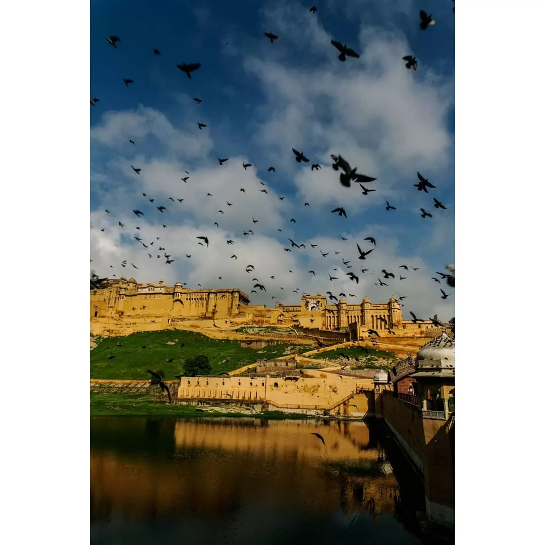 Photo of Jaipur By Tanya Sadh
