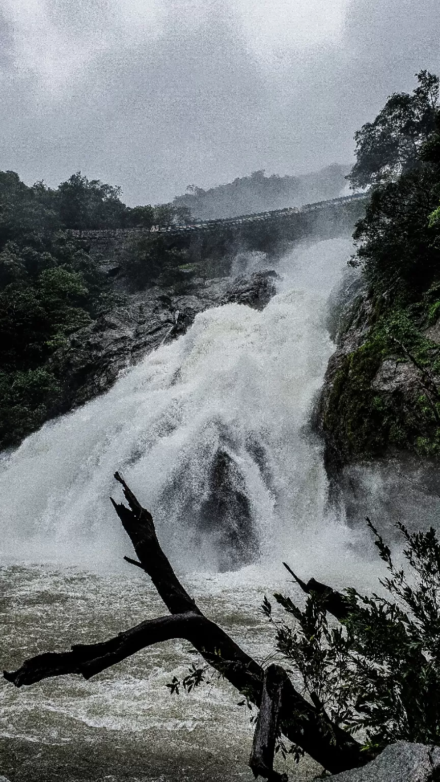 Photo of Dudhsagar Falls By Tanya Sadh