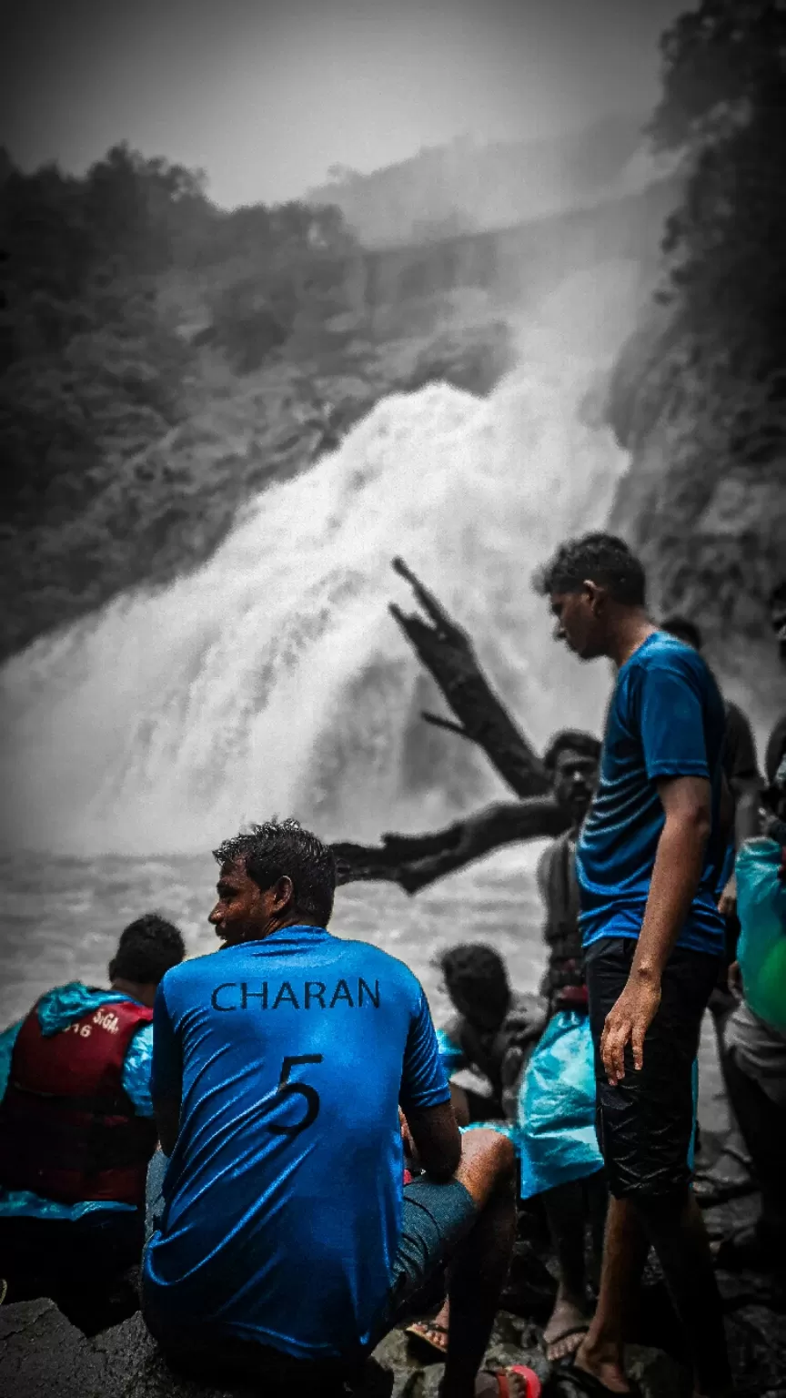 Photo of Dudhsagar Falls By Tanya Sadh