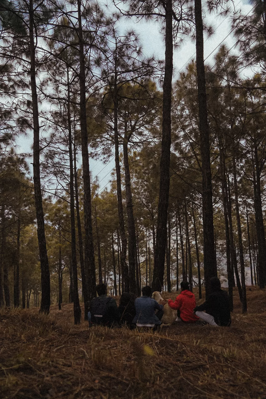 Photo of Shimla By Tanya Sadh