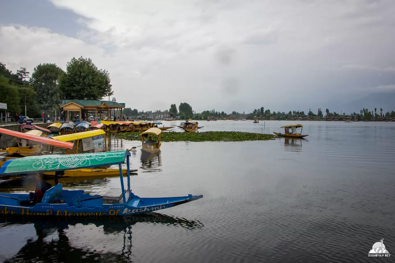 Photo of Dal Lake By JourneyJournals