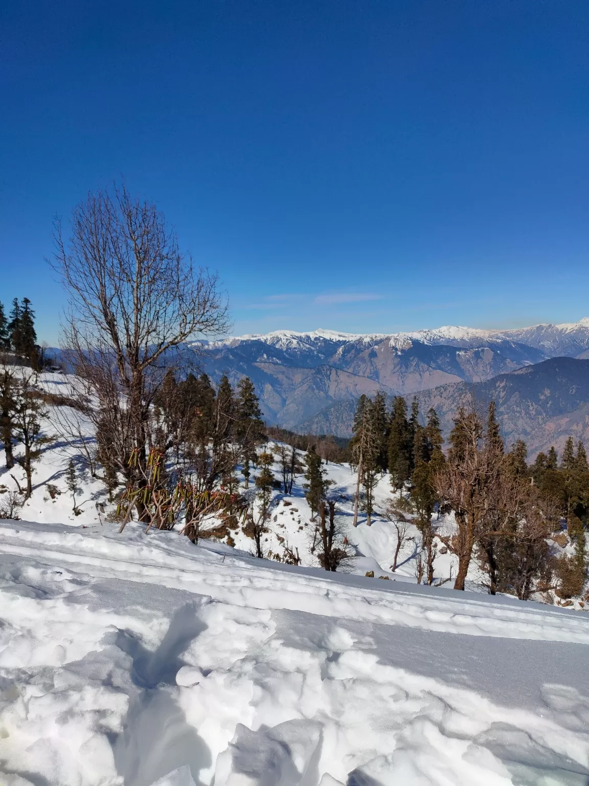 Photo of Kedarkantha Trek By Naseeb Ali