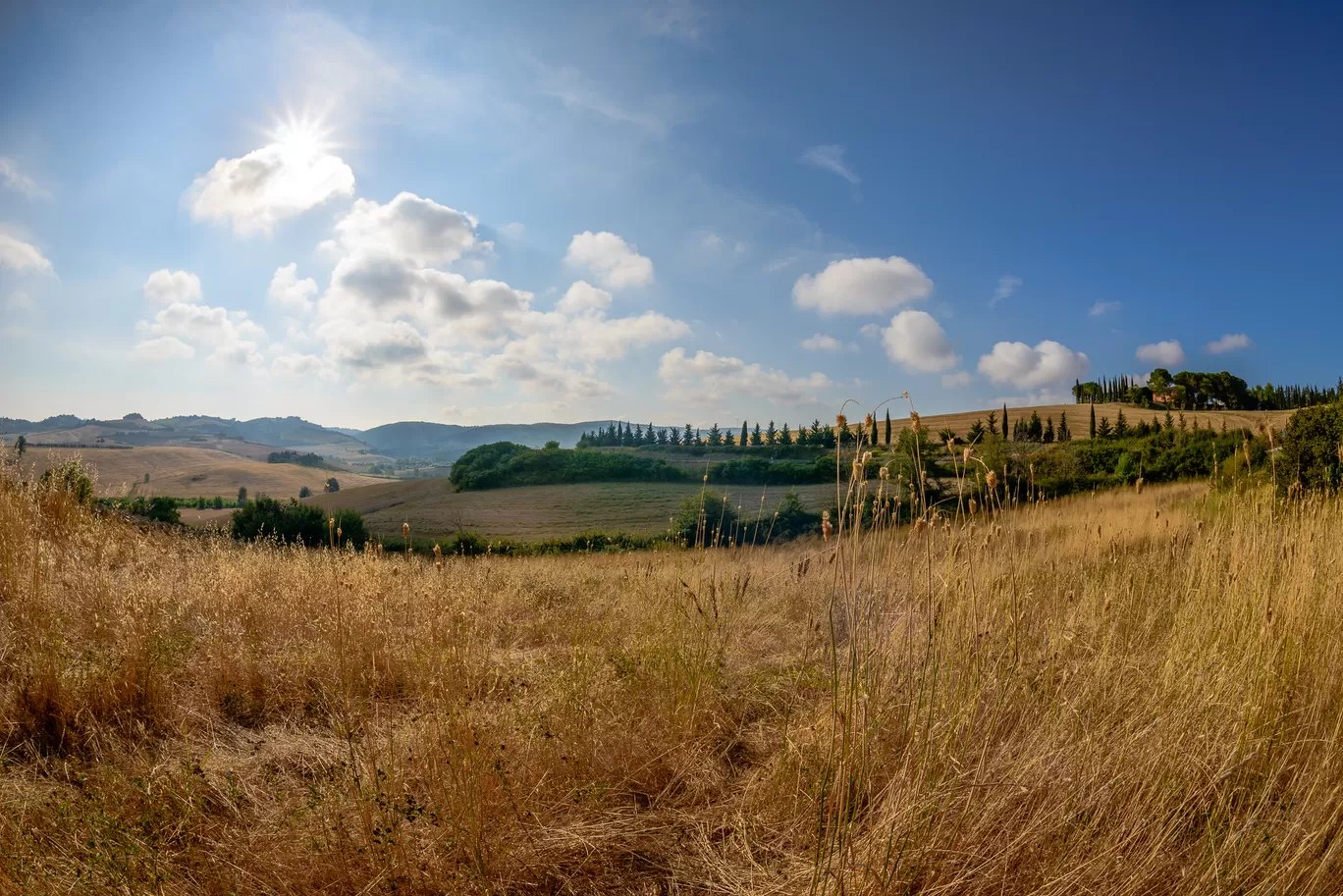 Photo of Tuscany By Shahid Hashmi 