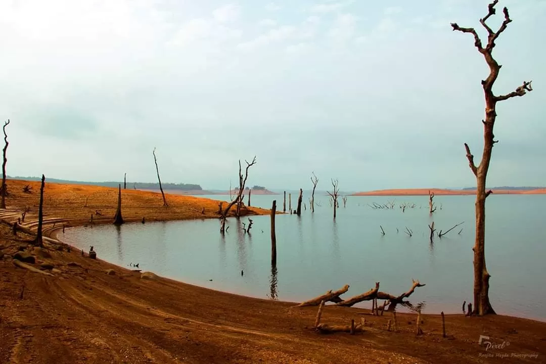 Photo of Honnemaradu By vijay hegde
