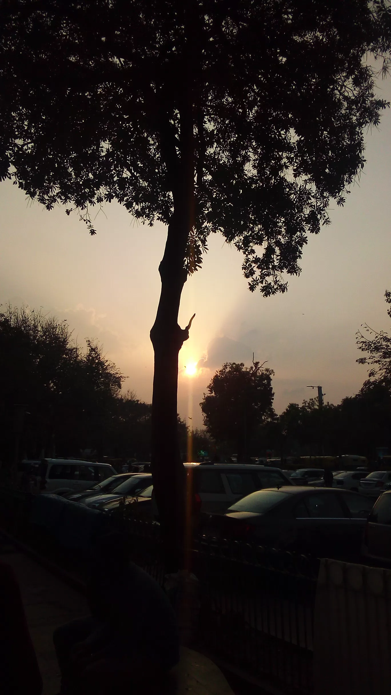 Photo of India Gate By Marco Polo