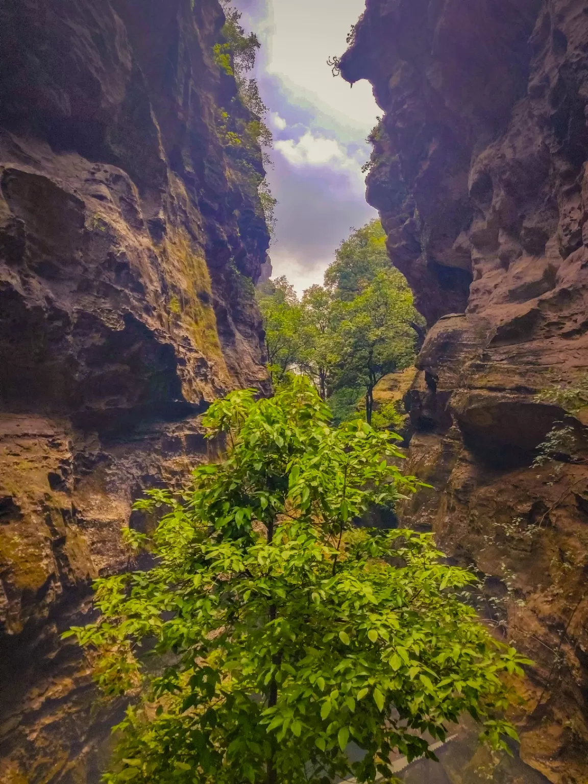 Photo of Panchmarhi Hill Station By across coordinatesss