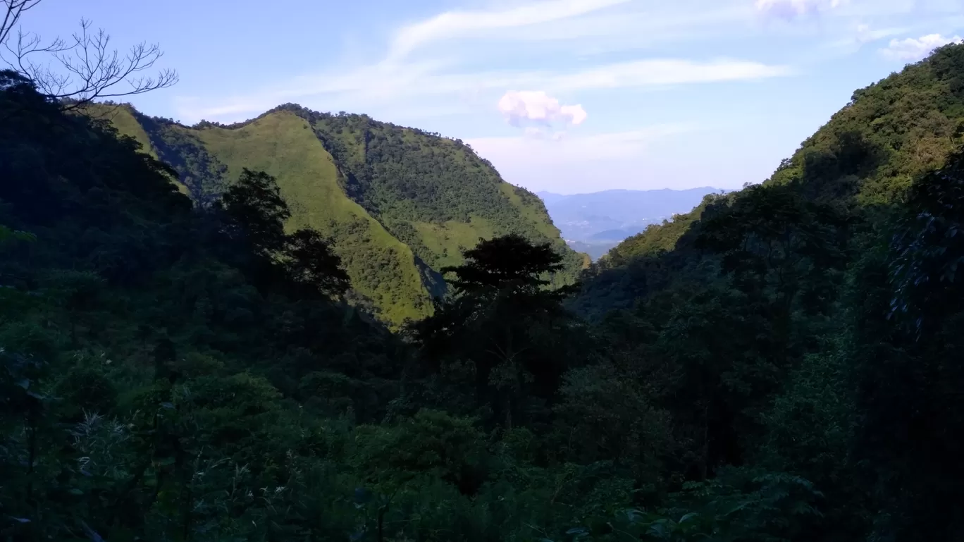 Photo of Dzükou Valley By Pankaj Verma (kAGE OF NATURE)