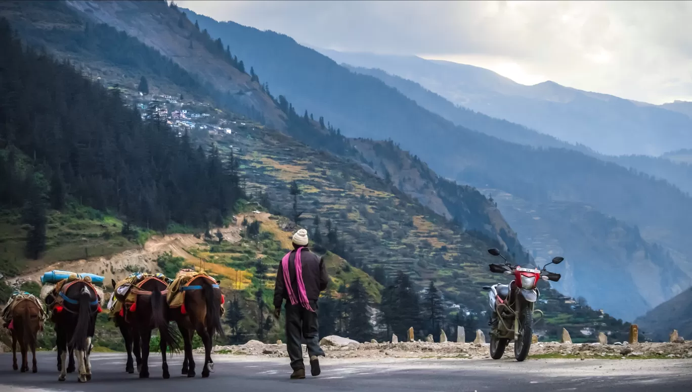 Photo of Malari By Aman Kunwar
