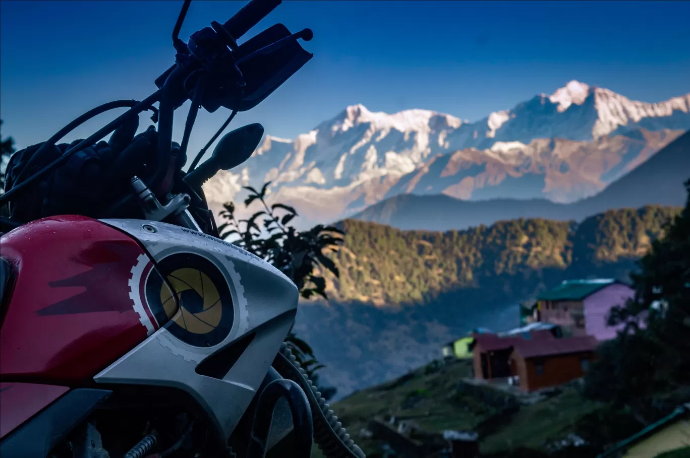 Photo of Malari By Aman Kunwar