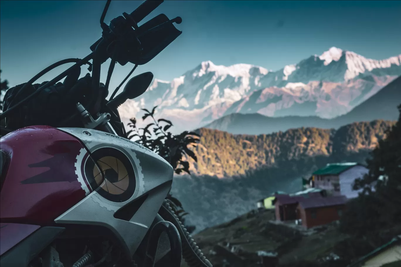Photo of Malari By Aman Kunwar