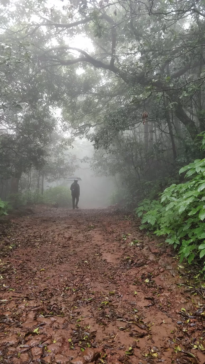 Photo of Mahabaleshwar By meghashree g