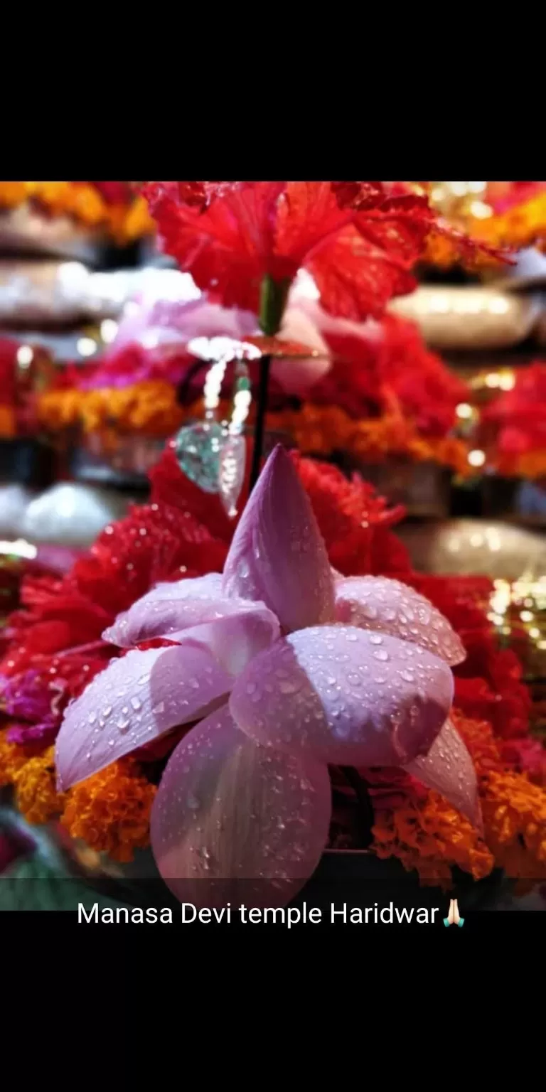 Photo of Rishikesh By girl_with dreams