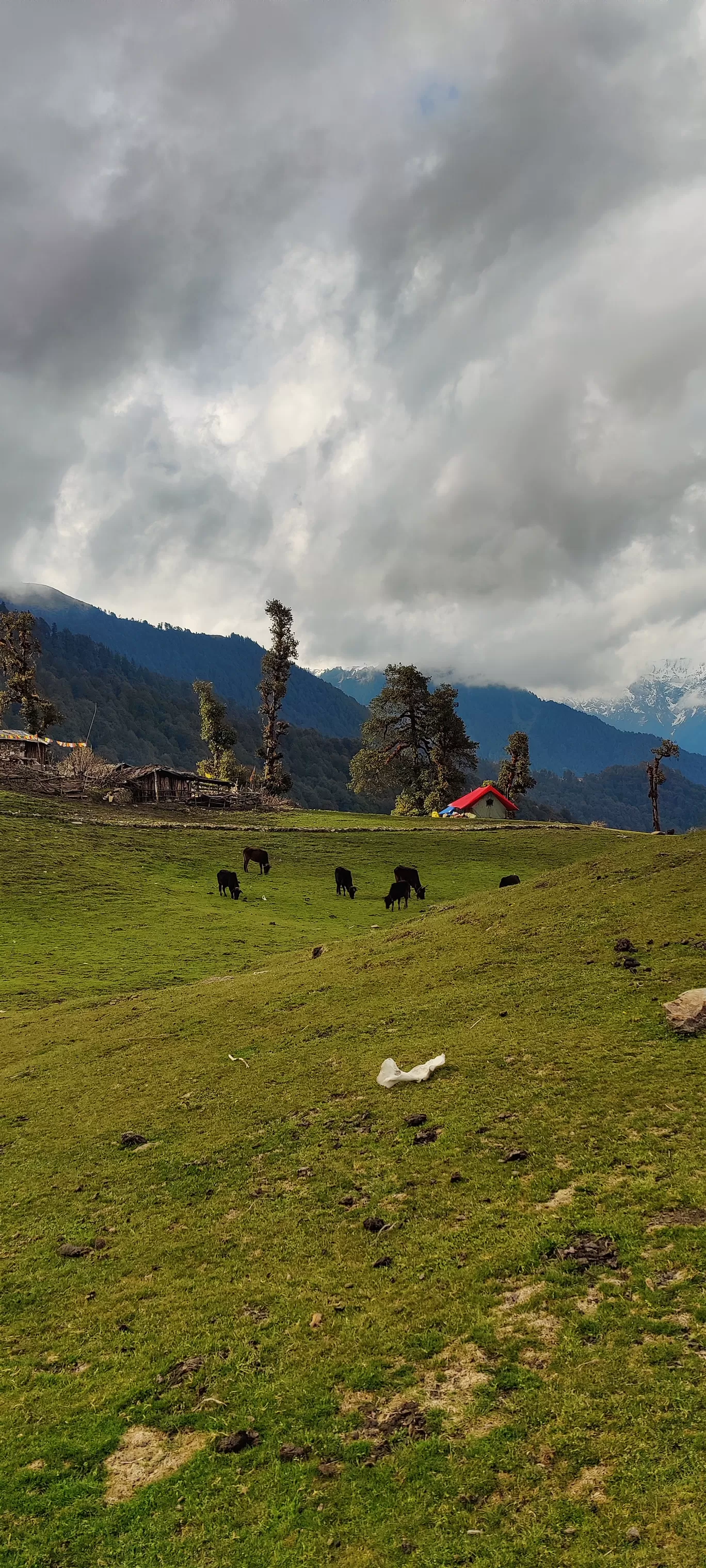 Photo of Dayara Bugyal By Netra Sadhale