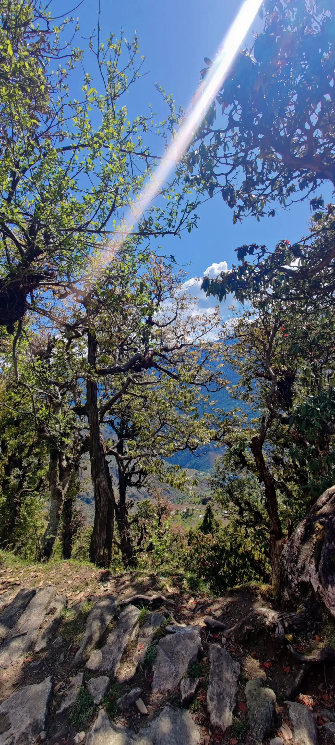 Photo of Dayara Bugyal By Netra Sadhale