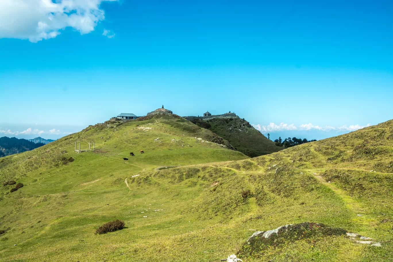 Photo of Jalori Pass By Sushovan Sar