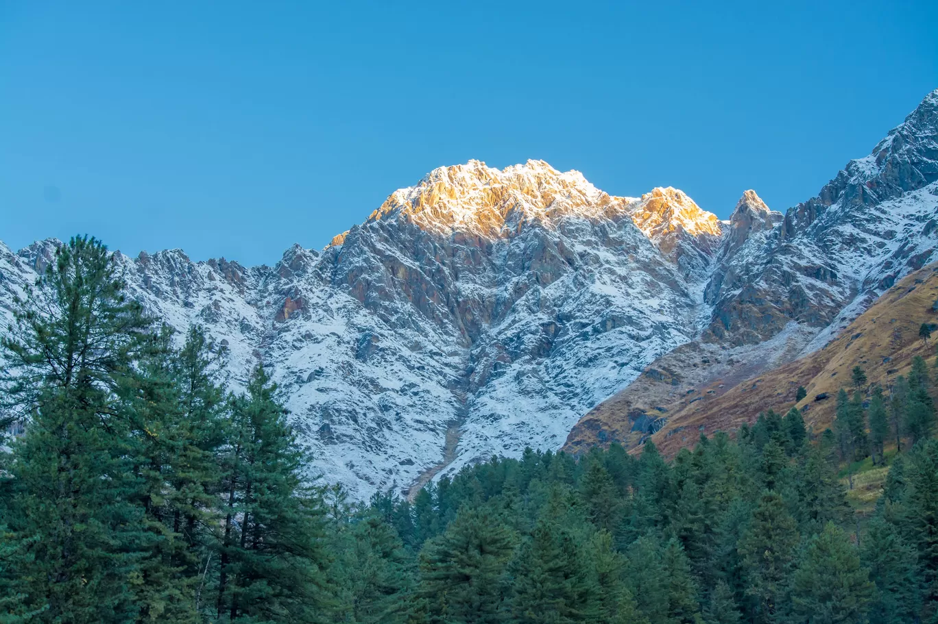 Photo of Kutla By Sushovan Sar