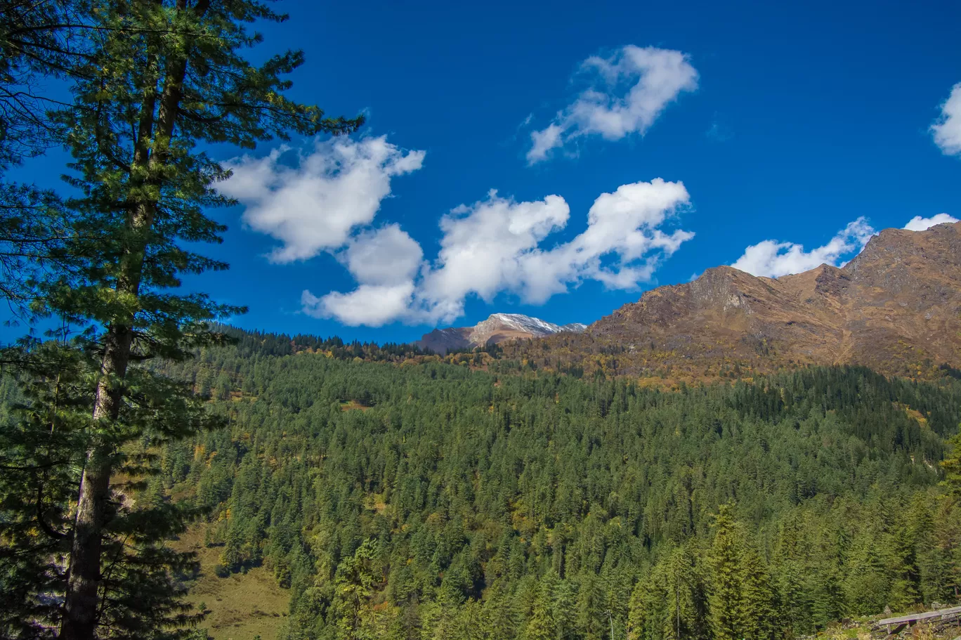 Photo of Kutla By Sushovan Sar