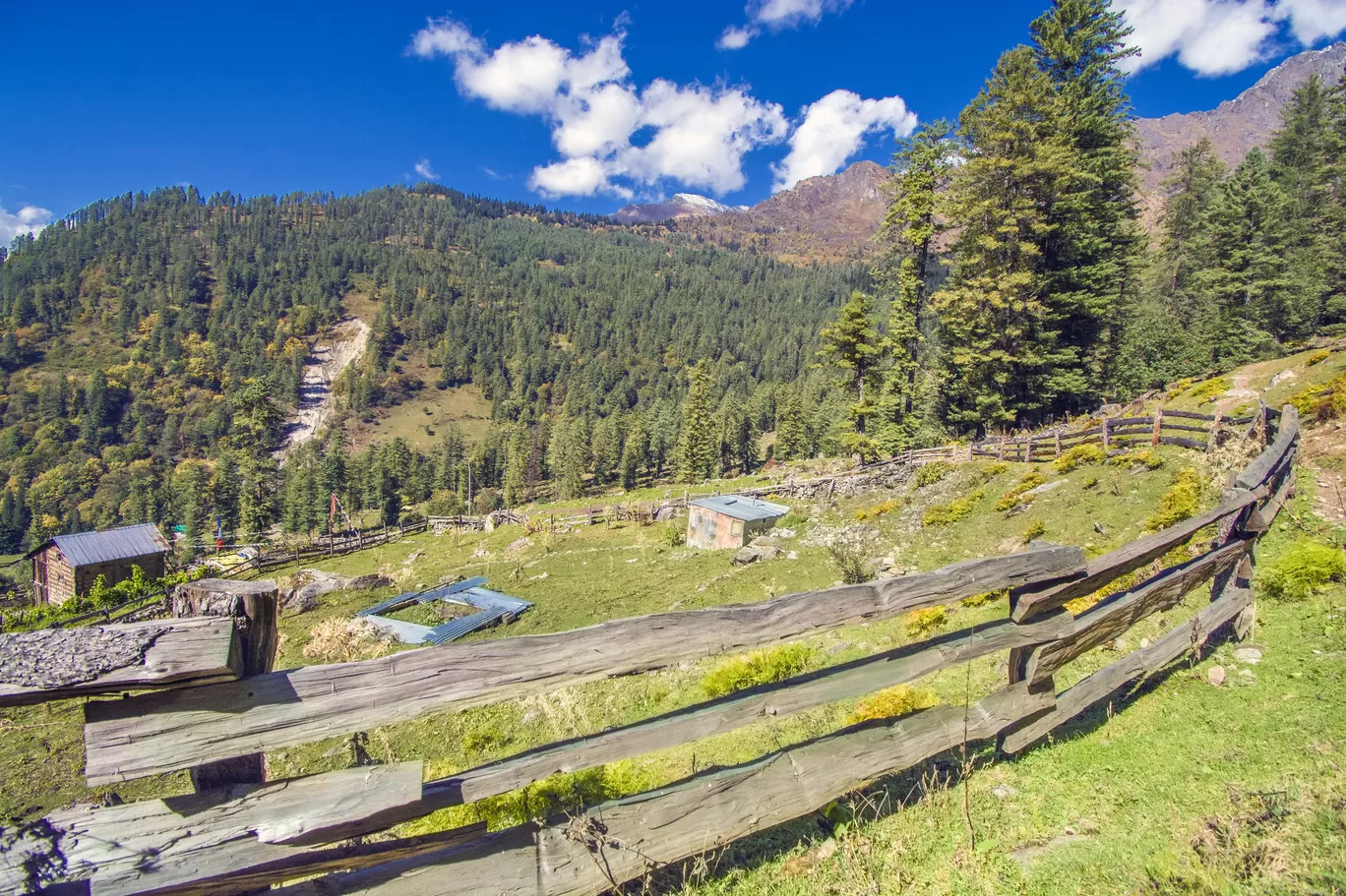 Photo of Kutla By Sushovan Sar