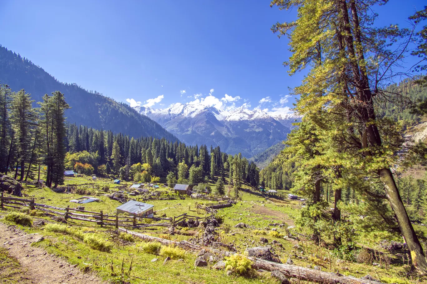Photo of Kutla By Sushovan Sar