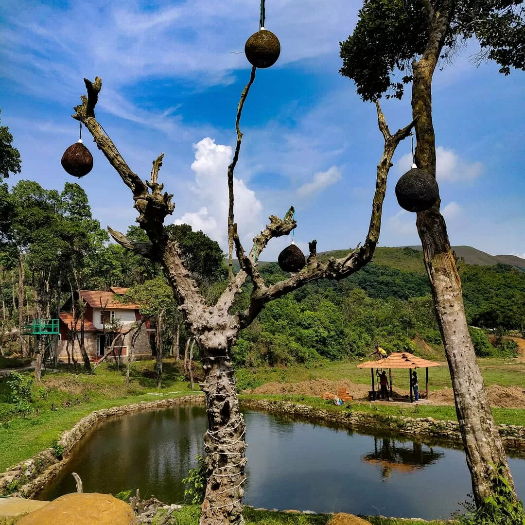 Photo of Aroha's Eco Hill Resort By Ajit Gunaga