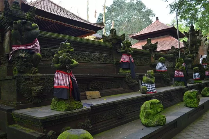 Photo of Sacred Monkey Forest By Arun Vasisht