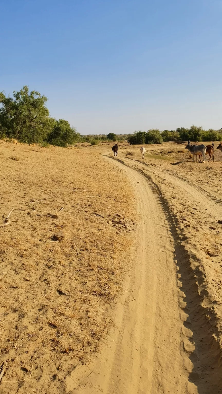 Photo of Kuldhara By Archit Saxena 