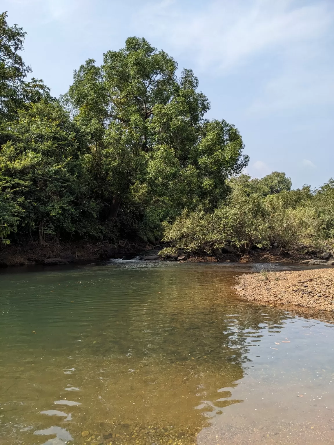 Photo of Cotigao Wildlife Sanctuary By Archit Saxena 