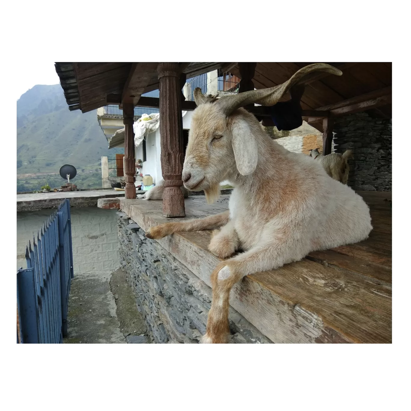 Photo of Lakha Mandal By Prateek bhatt